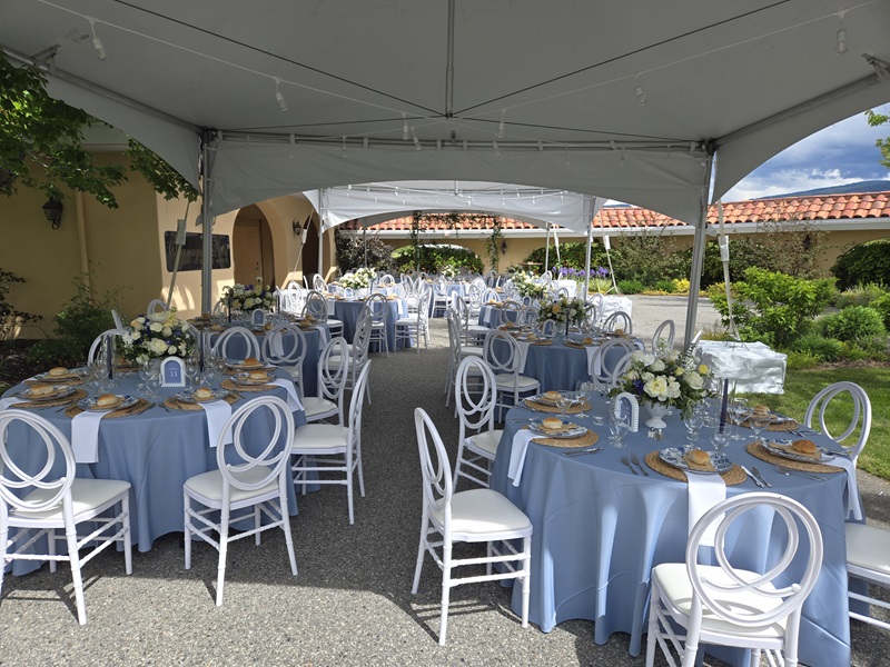 Wedding 20x60 Marquee